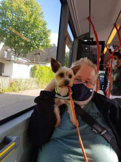 Lustige Bilder-Beitrag-Bild