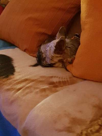 Die unbequemsten und lustigsten Schlafpositionen-Beitrag-Bild