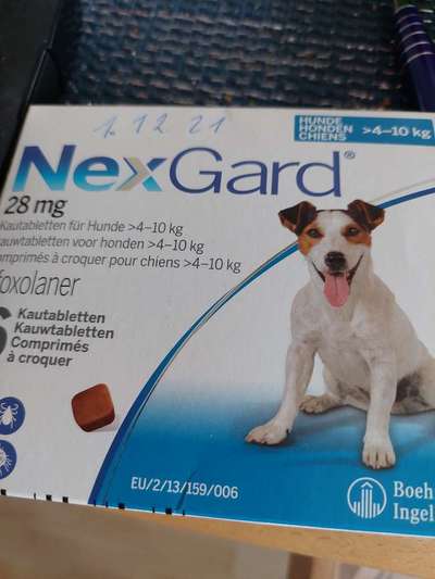 Floh und Zeckenmittel-Beitrag-Bild