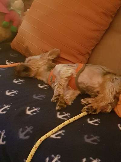 Die unbequemsten und lustigsten Schlafpositionen-Beitrag-Bild