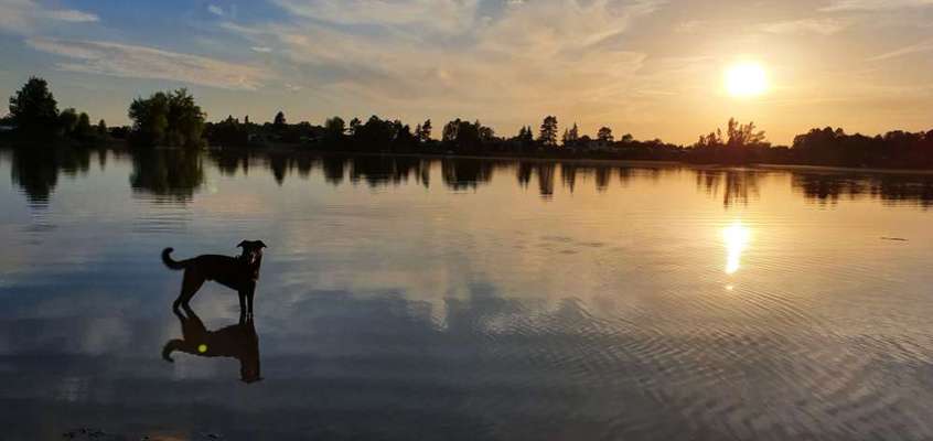 Sonnenaufgänge oder - untergänge-Beitrag-Bild