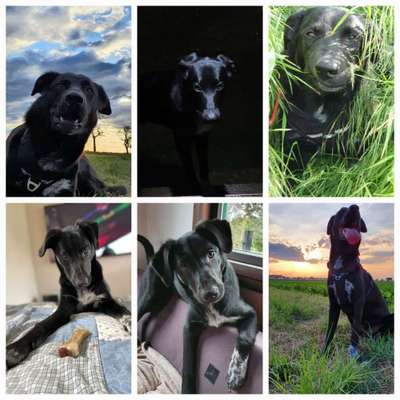 23. Collagen-Challenge: Portraits-Beitrag-Bild