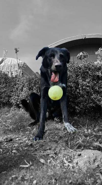 6. Farben Foto Challenge: "ColourKey Effekt"-Beitrag-Bild