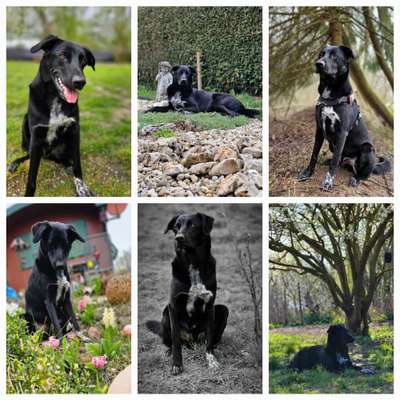 32. Collagen Challenge - eure liebsten gestellten Fotos-Beitrag-Bild