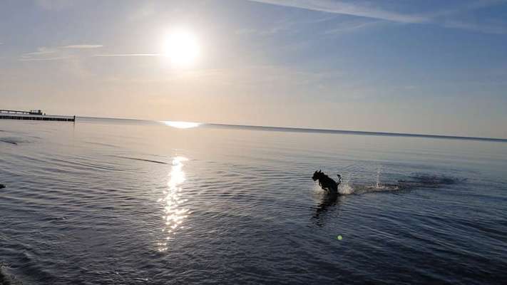 Foto Wettbewerb-Beitrag-Bild