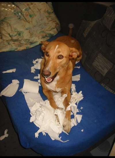 Fotochallenge Nr.122-Beitrag-Bild