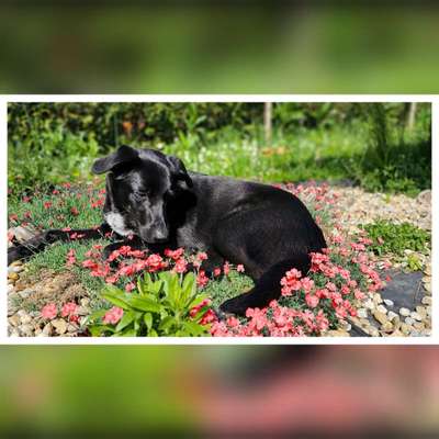 11. Farben Foto Challenge Rot-Beitrag-Bild