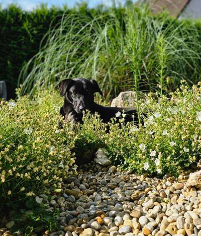 19. Farben  Fottochallenge :
Lieblingsfarbe-Beitrag-Bild