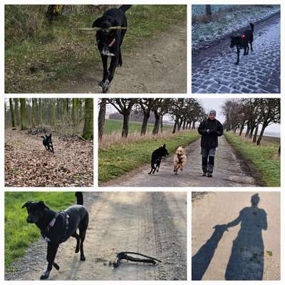 30. Collagen Challenge - Wege/Straßen-Beitrag-Bild