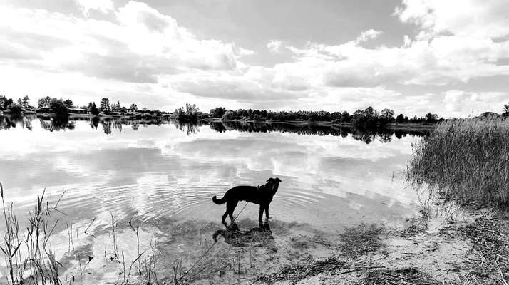 3. Farben/Fotochallenge: Schwarz/Weiß-Beitrag-Bild