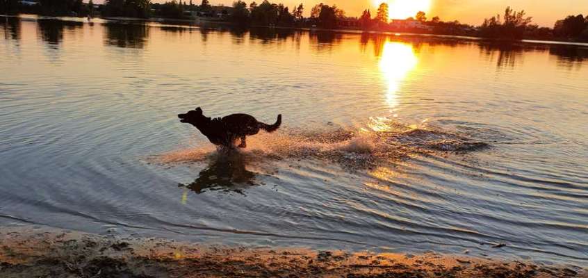 Fotowettbewerb zum Thema "Sonne"-Beitrag-Bild