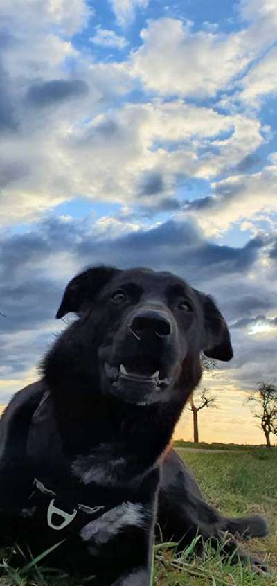 118. Fotochallange-Beitrag-Bild