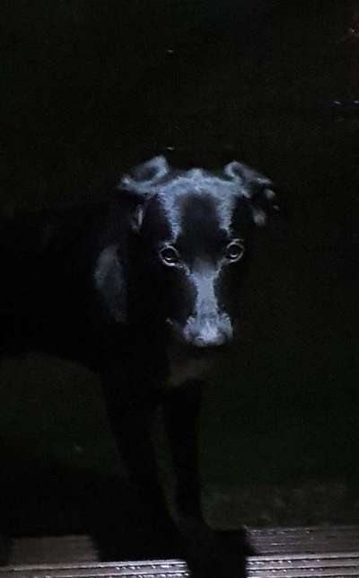 Ton in Ton-Beitrag-Bild