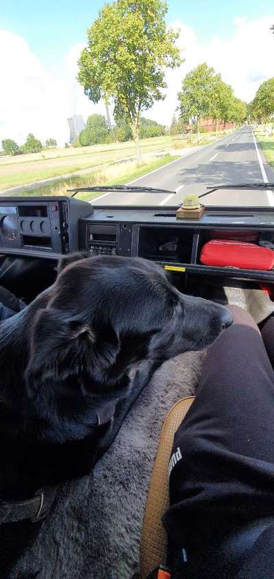 117. Fotochallenge-Beitrag-Bild