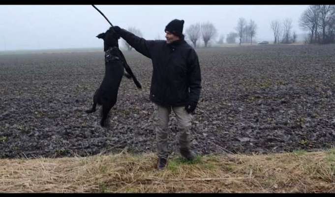Fotosammlung: ,,Der natürliche Hund" Unbearbeitet, ungestellt und in Natura-Beitrag-Bild