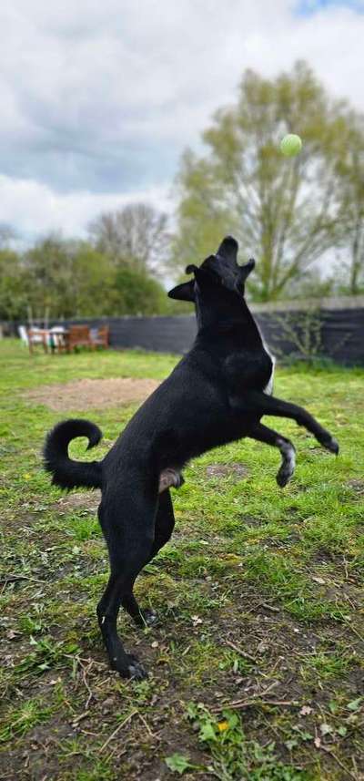 45. Handy - Foto - Challenge-Beitrag-Bild