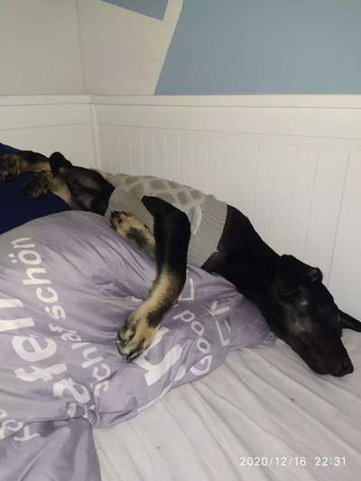 Die unbequemsten und lustigsten Schlafpositionen-Beitrag-Bild