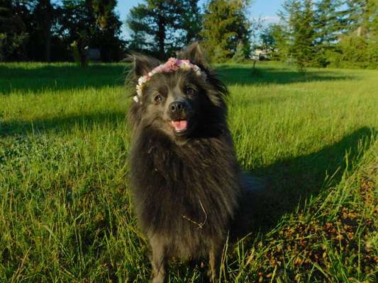 Fotochallenge 78

Es grünt und blüht-Beitrag-Bild