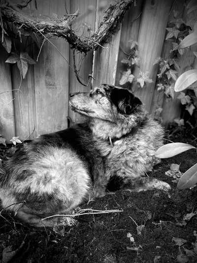 3. Farben/Fotochallenge: Schwarz/Weiß-Beitrag-Bild