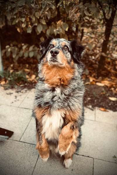 32. Collagen Challenge - eure liebsten gestellten Fotos-Beitrag-Bild