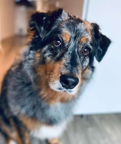 Zeigt eure Portraits-Beitrag-Bild