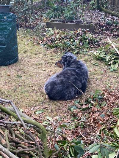 Fotochallenge 129-Beitrag-Bild