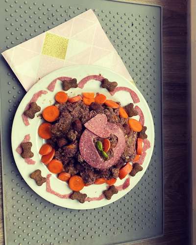 Zeigt her Eure Futternäpfe-Beitrag-Bild