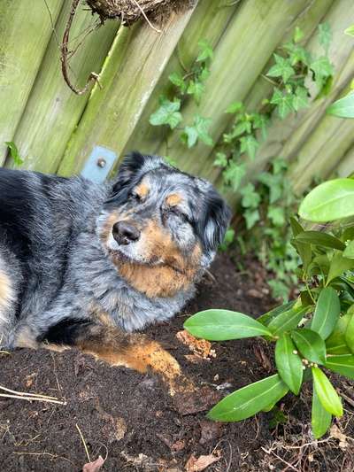 32. Collagen Challenge - eure liebsten gestellten Fotos-Beitrag-Bild