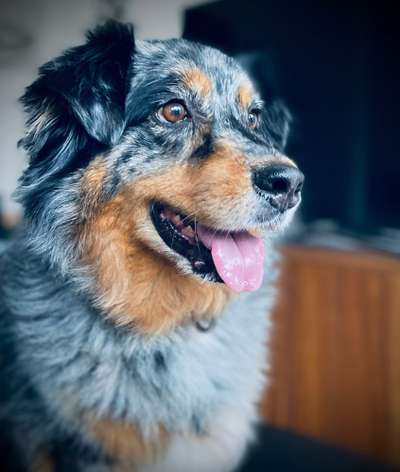 Zeigt eure Portraits-Beitrag-Bild