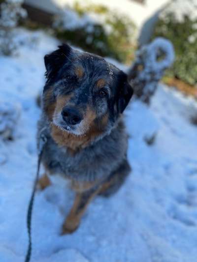 Austausch zur Fotografie-Beitrag-Bild