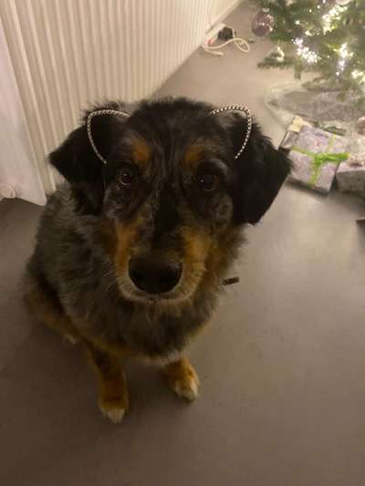 32. Collagen Challenge - eure liebsten gestellten Fotos-Beitrag-Bild