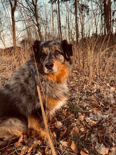 Fotochallenge Nr 107-Beitrag-Bild