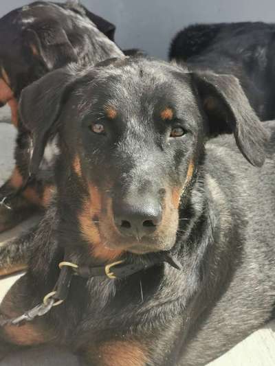 Fotochallange Nr. 57     PORTRÄT.   Beendet!!!!!!!!-Beitrag-Bild