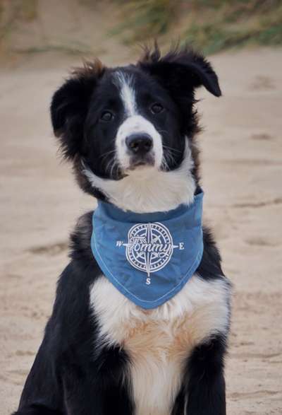 Fotochallange Nr. 57     PORTRÄT.   Beendet!!!!!!!!-Beitrag-Bild