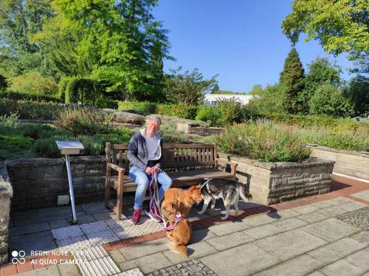 Challenge 33 - Du und dein Hund-Beitrag-Bild