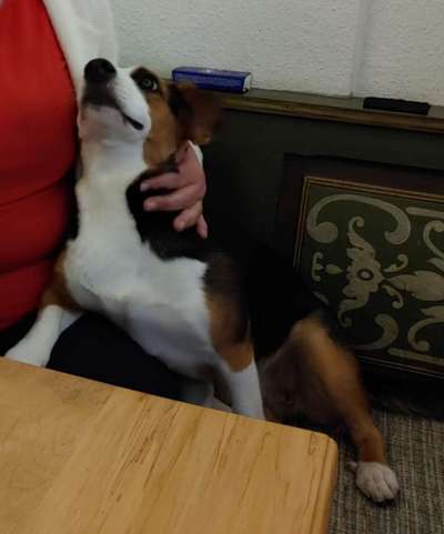 Fotochallenge No. 5-Beitrag-Bild