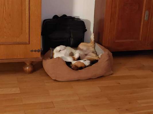 Die unbequemsten und lustigsten Schlafpositionen-Beitrag-Bild