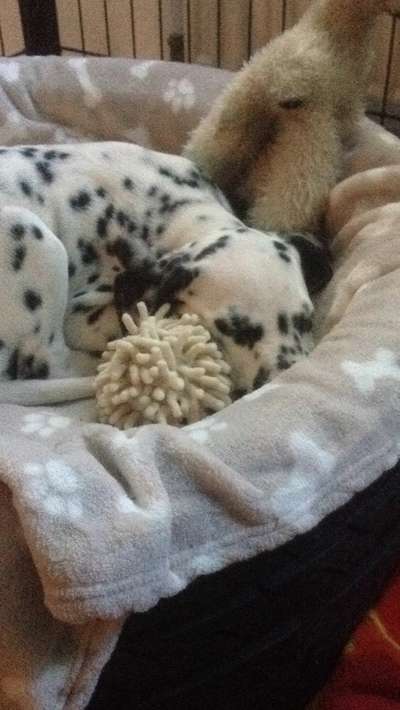 Fotochallange Nummer 5-Beitrag-Bild