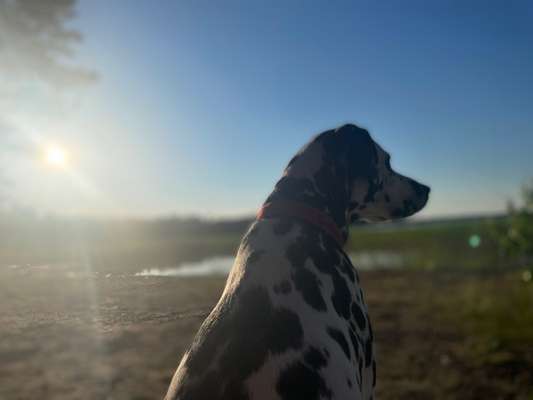 Fotochallenge Nr.100 Urlaubsimpressionen-Beitrag-Bild