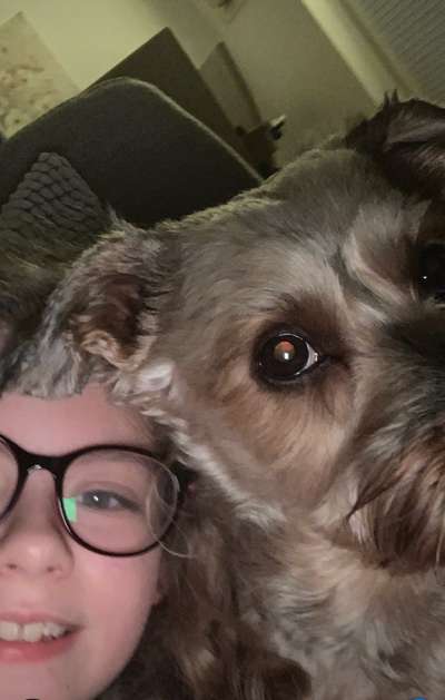 Un...scharf Bilder-Beitrag-Bild