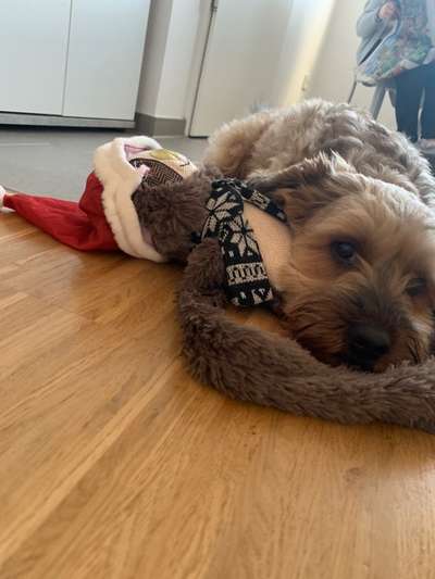 Zeigt eure Portraits-Beitrag-Bild