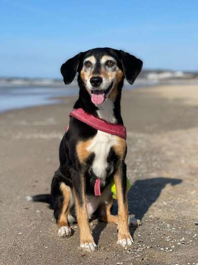 Schmerz-Beitrag-Bild