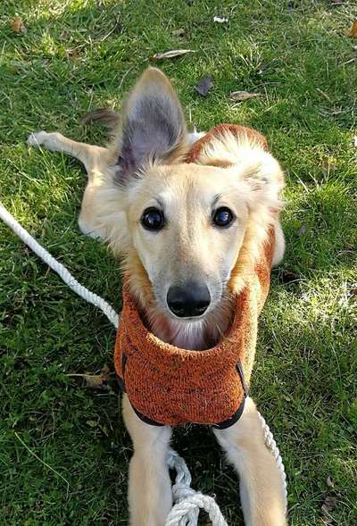 Fotochallange Nr. 57     PORTRÄT.   Beendet!!!!!!!!-Beitrag-Bild