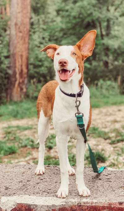 Zeigt eure Portraits-Beitrag-Bild