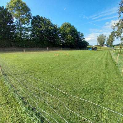 Hundeauslaufgebiet-Edenshundwiese-Bild