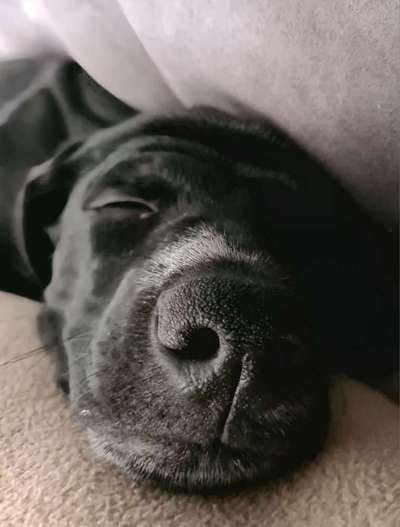 Fotochallange Nr. 57     PORTRÄT.   Beendet!!!!!!!!-Beitrag-Bild