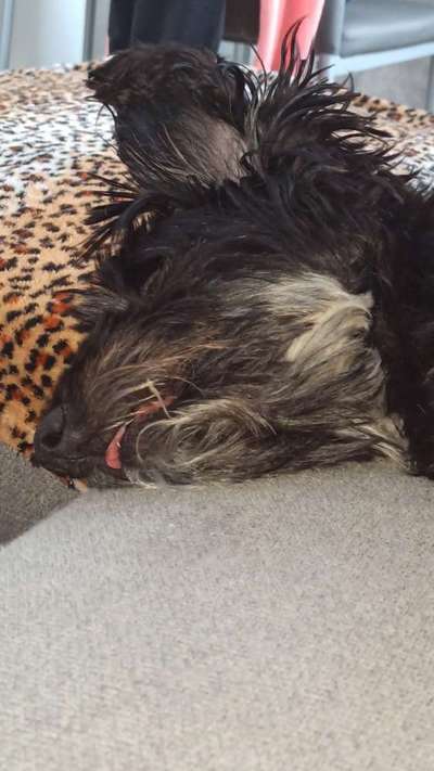 Die unbequemsten und lustigsten Schlafpositionen-Beitrag-Bild