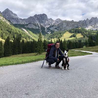 Hundetreffen-Spaziergang im Maurerwald (sozialwalk)-Profilbild