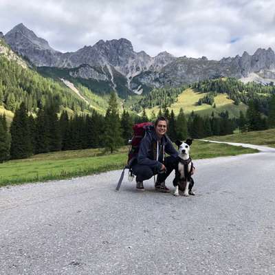 Hundetreffen-Spaziergang im Maurerwald (sozialwalk)