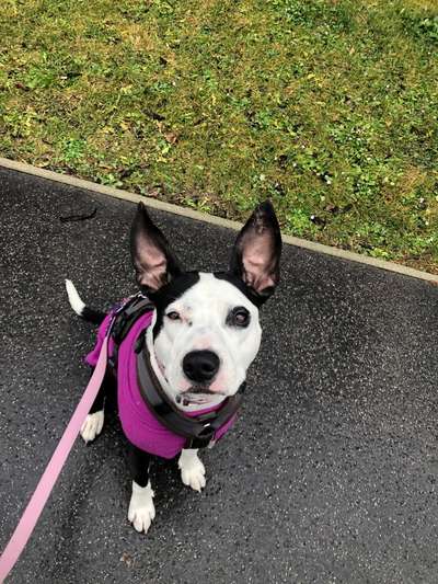 Lieblingsbild-Beitrag-Bild